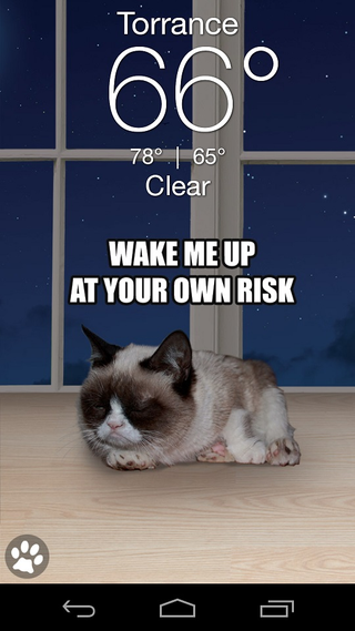 Illustration for article titled The Grumpy Cat Weather App Won't Sugar Coat Things For You